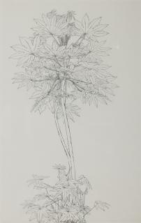 Sam Szafran - Feuillage No. 1