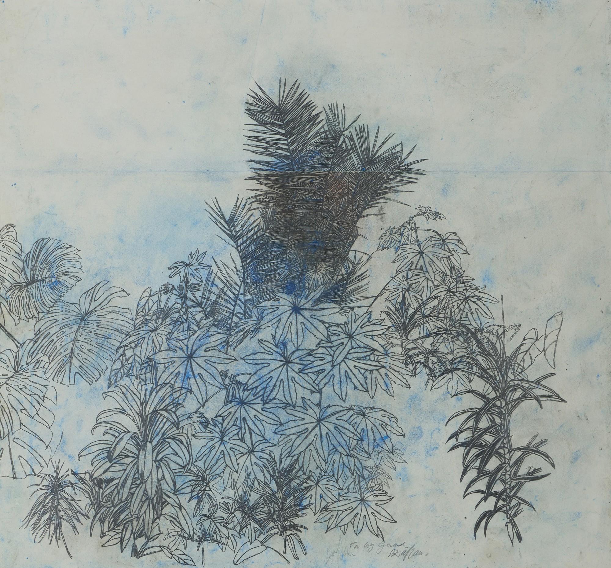 Sam Szafran - Plantes et Feuillages