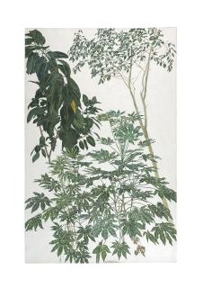 Sam Szafran - Sans titre