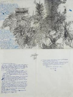 Sam Szafran - Sans titre