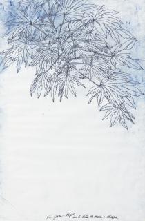 Sam Szafran - Sans Titresigned And Dedicated To Jean Paget; Pastel And Charcoal On Paper.