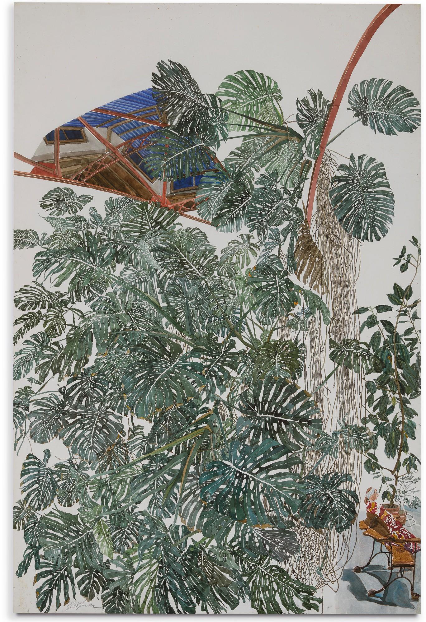 Sam Szafran - Untitled (Plants with Skylight)