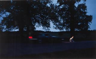 Sam Taylor Wood - Spankers Hill