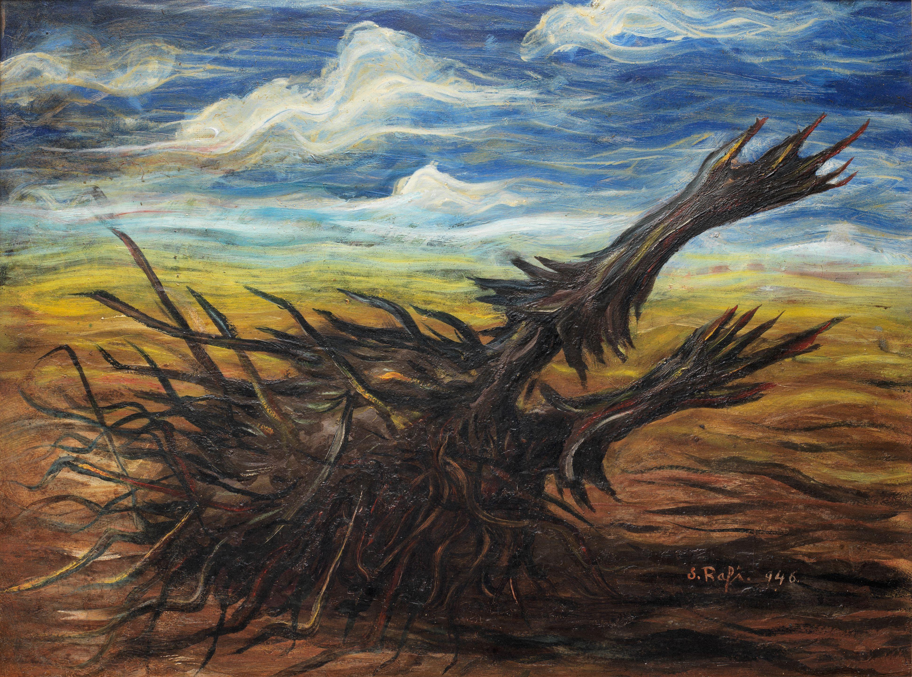 Samir Rafi - Enchanted Desert