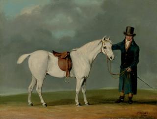 Samuel Alken, Jnr. - A Gentleman with a Saddled Grey Hunter
