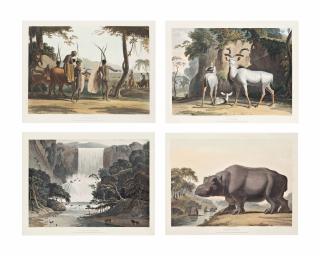 Samuel Daniell - African Scenery And Animals (Abbey Travel 321, Nos. 1-18, 20-32)