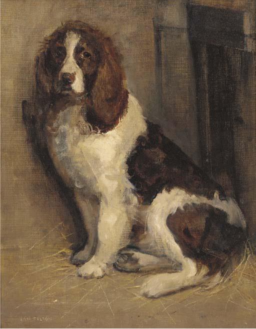 Samuel Fulton - A cocker spaniel
