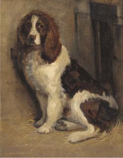Samuel Fulton - A cocker spaniel