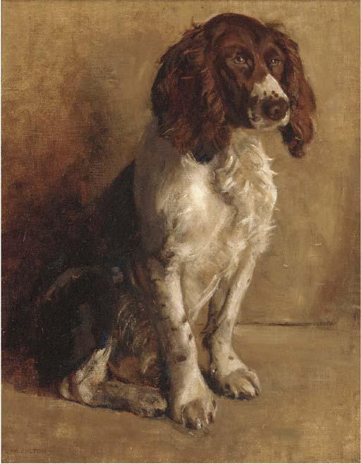 Samuel Fulton - A cocker spaniel