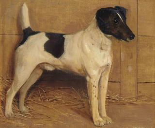 Samuel Fulton - A fox terrier