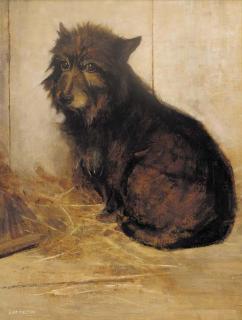 Samuel Fulton - A Glencairn terrier