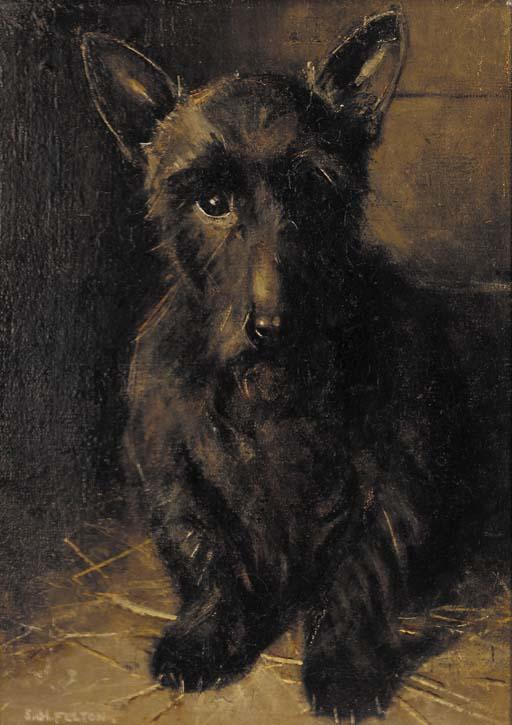 Samuel Fulton - A Scottie