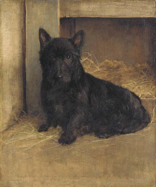 Samuel Fulton - A Scottish Terrier