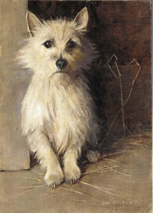 Samuel Fulton - A West Highland Terrier