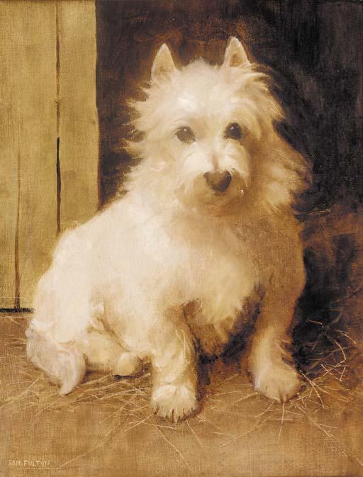 Samuel Fulton - A West Highland terrier