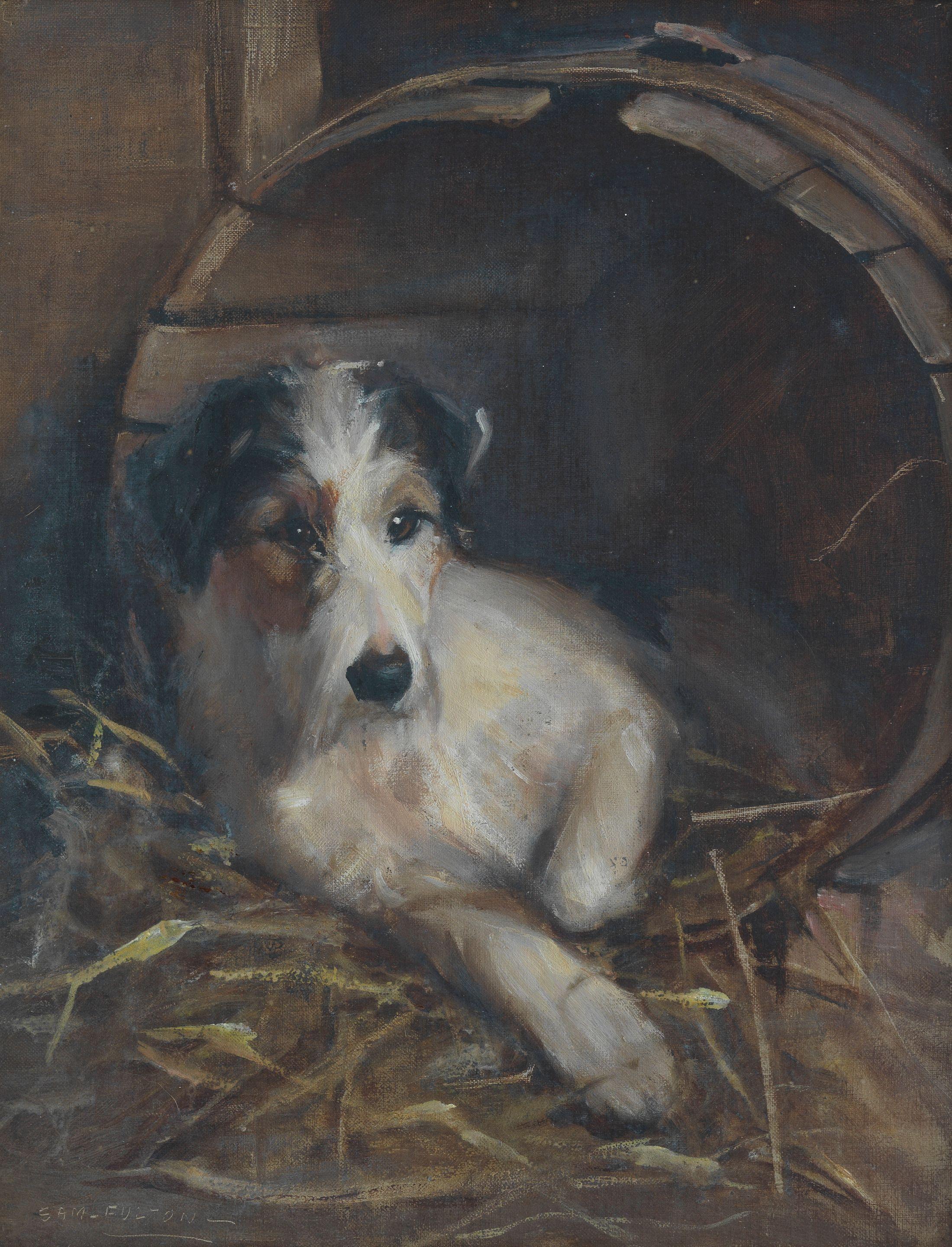 Samuel Fulton - Creature comforts - A Terrier in its bed