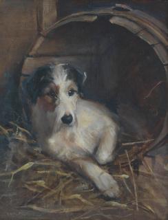 Samuel Fulton - Creature comforts - A Terrier in its bed