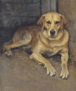 Samuel Fulton - \'Luath\', the labrador