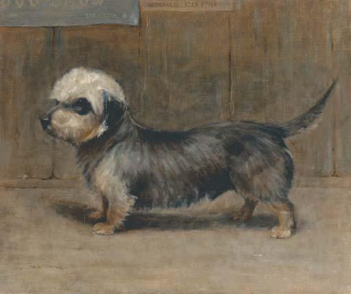 Samuel Fulton - Netherby II, K.C.S.B. 27740, a dandie dinmont