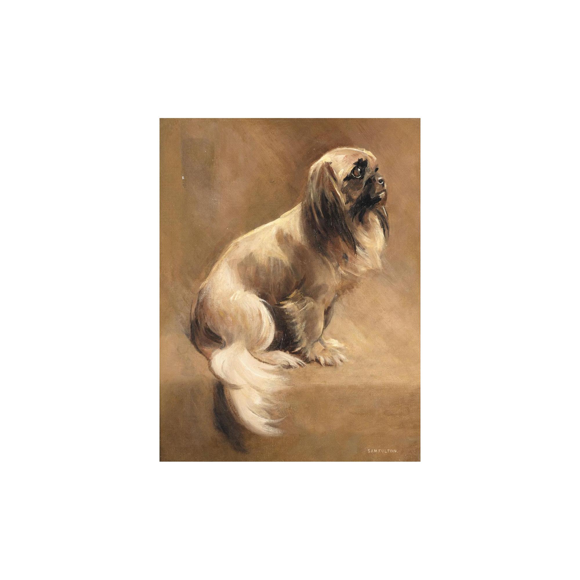 Samuel Fulton - Pekinese