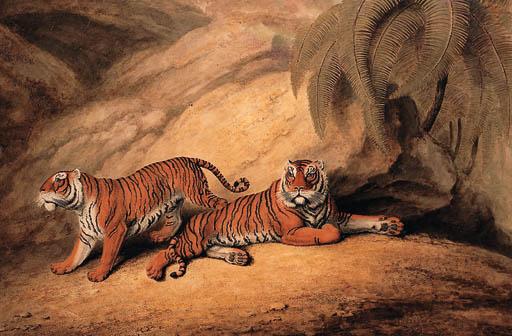 Samuel Howitt - A pair of tigers