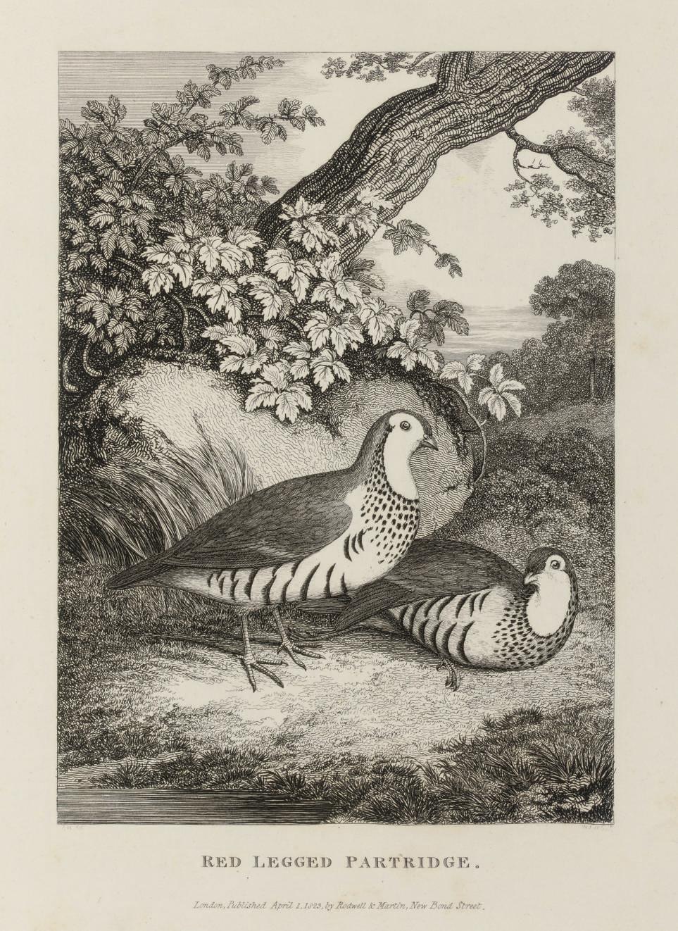 Samuel Howitt - Unknown