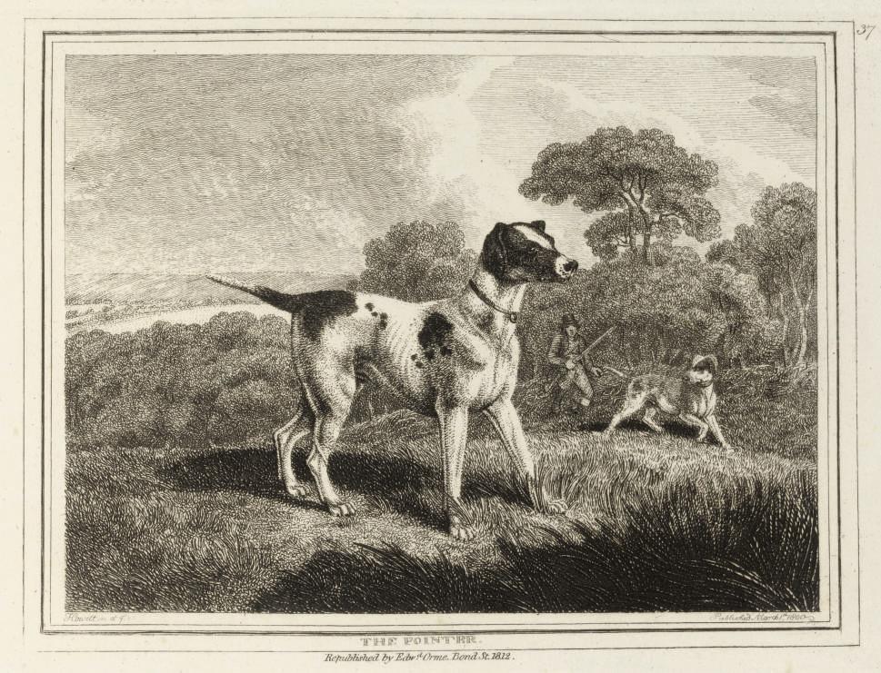 Samuel Howitt - Unknown