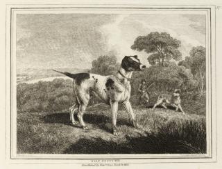 Samuel Howitt - Unknown