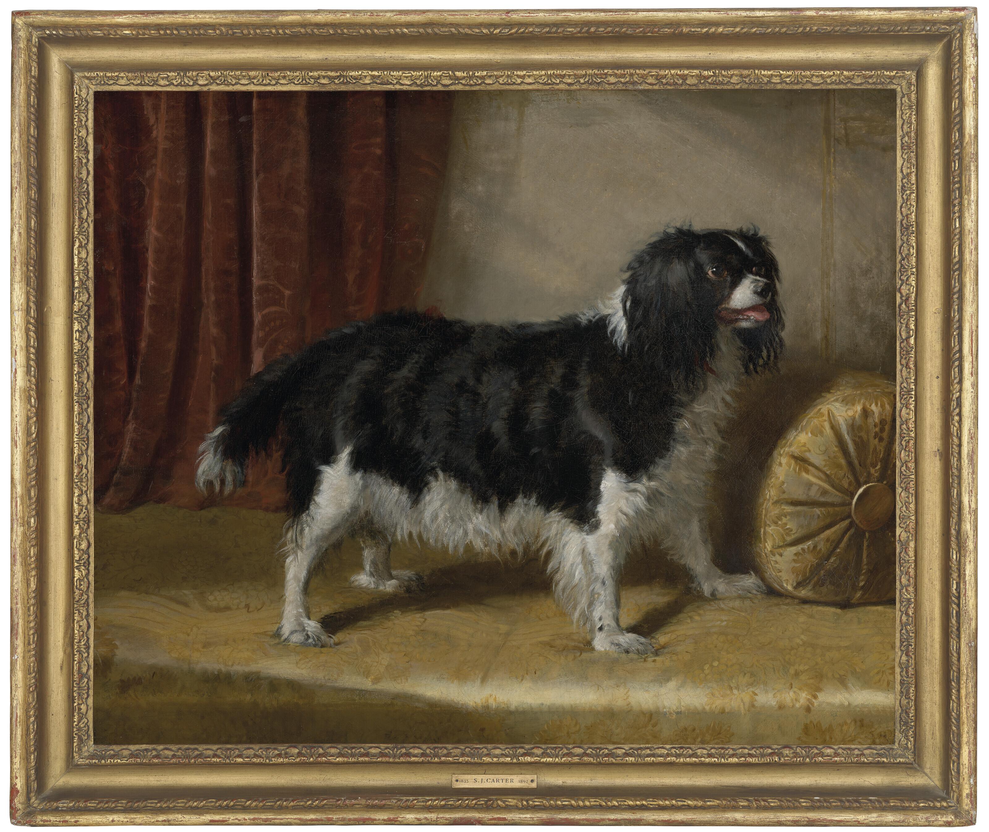Samuel John Carter - A spaniel on the divan