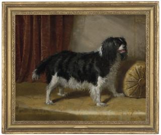 Samuel John Carter - A spaniel on the divan