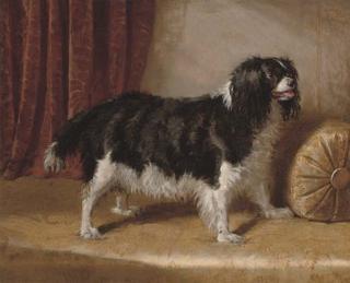 Samuel John Carter - A spaniel on the divan