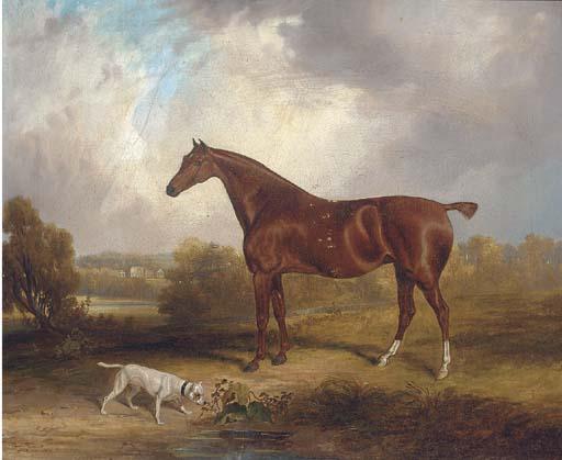 Samuel John Egbert Jones - A Chestnut Hunter Before A Country House