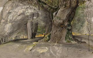 Samuel Palmer, O.W.S. - Oak tree and beech, Lullingstone Park