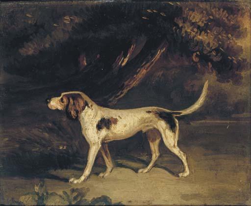 Samuel Raven - A favourite hound