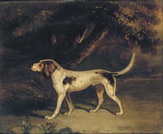 Samuel Raven - A favourite hound