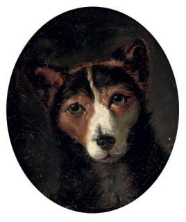 Samuel Raven - A favourite terrier