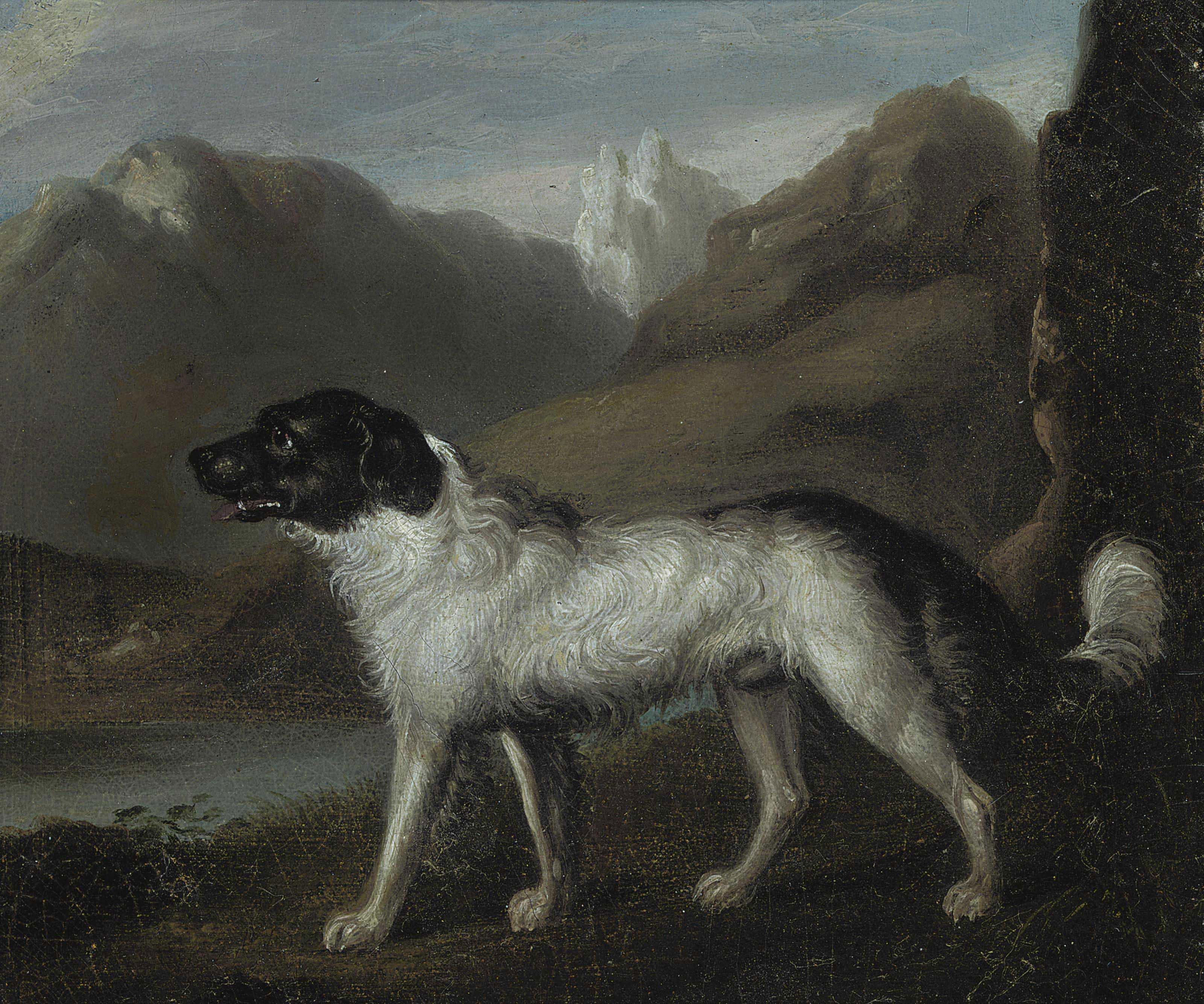 Samuel Raven - A Mountain Hound