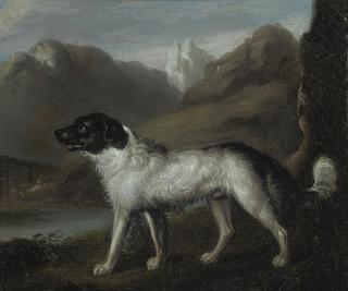 Samuel Raven - A Mountain Hound