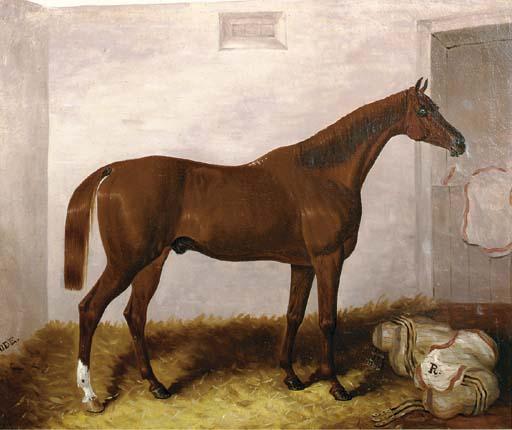Samuel Spode - A bay horse in a stable