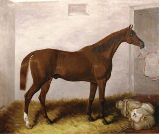 Samuel Spode - A bay horse in a stable