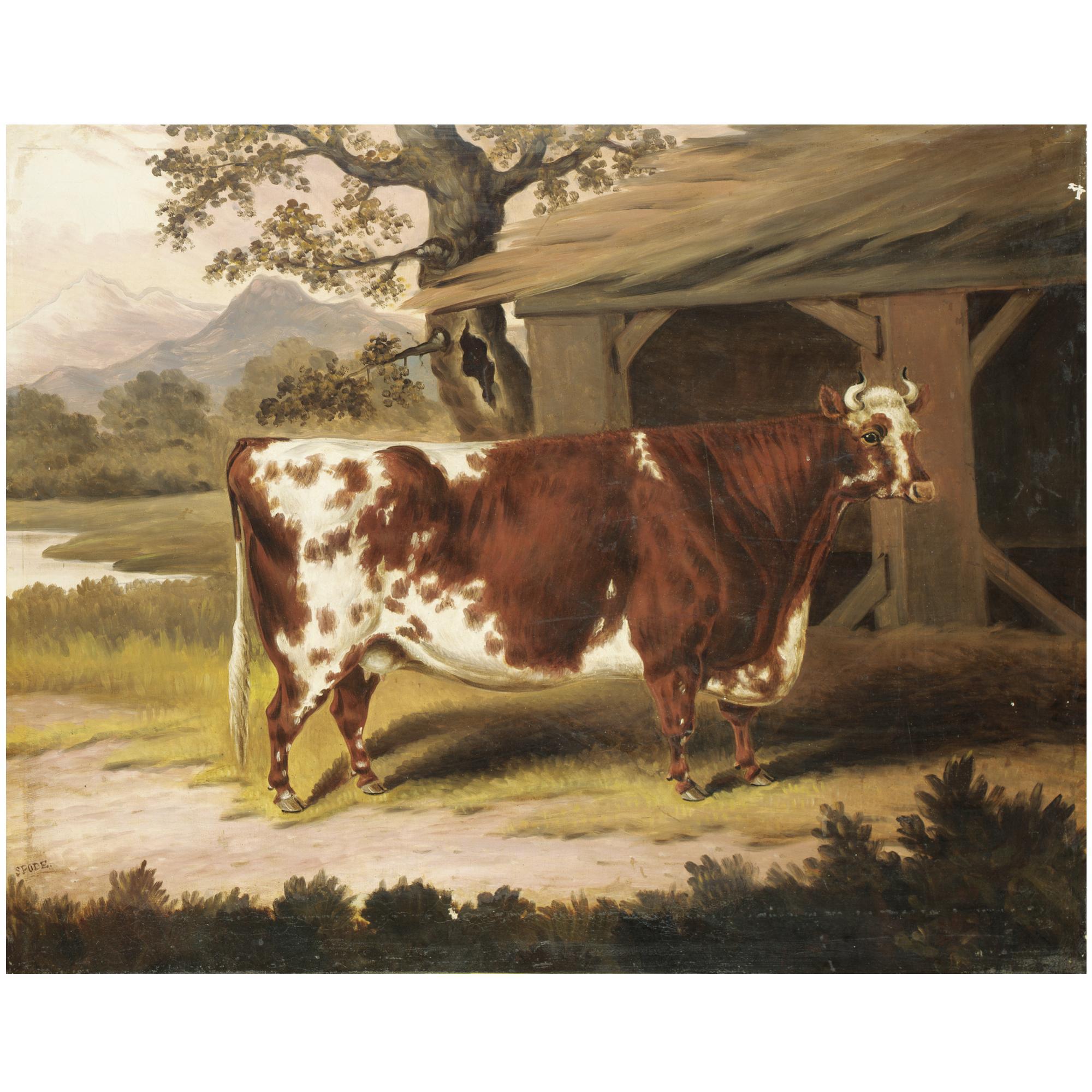 Samuel Spode - British Potrait Of A Cow