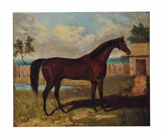 Samuel Spode - Gladiateur