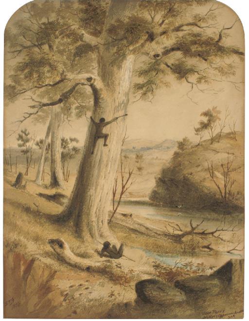 Samuel Thomas Gill - Gum Trees, Natives Opposum hunting, South Australia