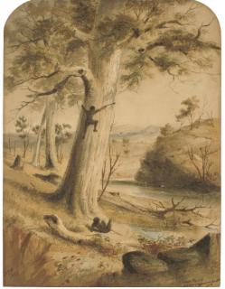 Samuel Thomas Gill - Gum Trees, Natives Opposum hunting, South Australia