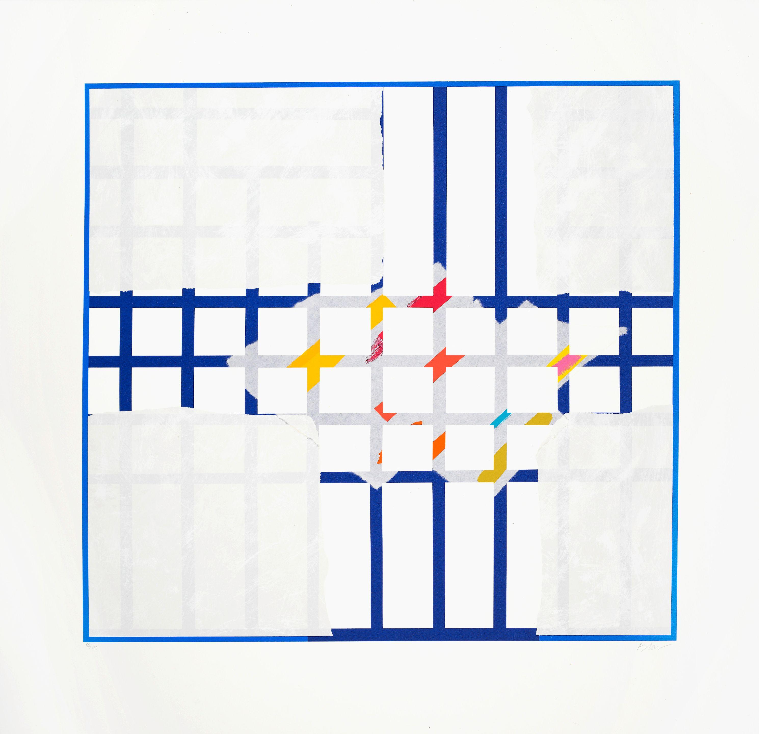 Sandra Blow R.A. - Colour Within