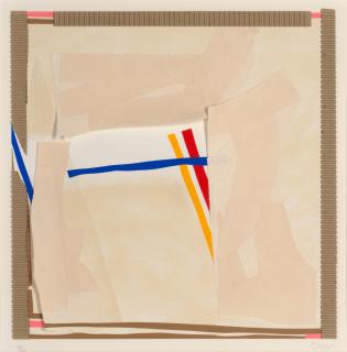 Sandra Blow R.A. - Rilievo