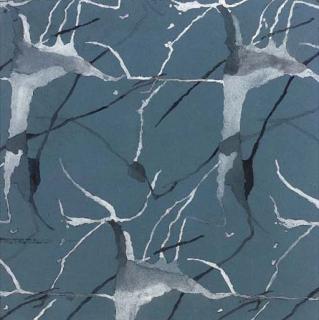 Sandra Blow, R.A. - Untitled Composition