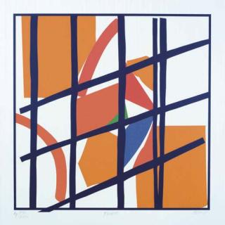 Sandra Blow RA - Facets