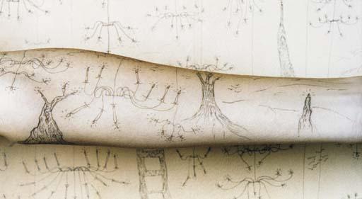 Sandra Cinto - Sem título