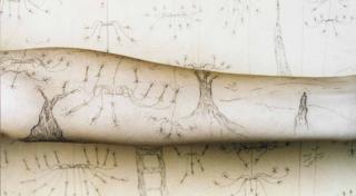 Sandra Cinto - Untitled